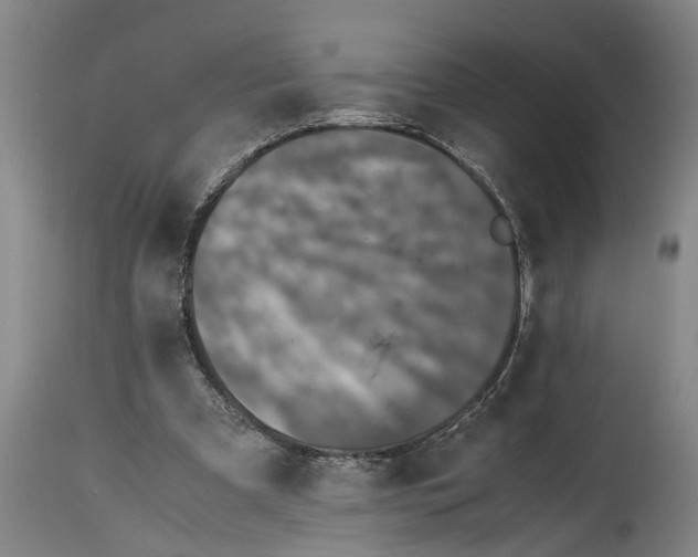 X0000115120297200911171334
