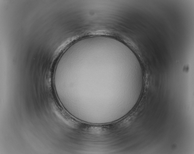 X0000115120298200911171334