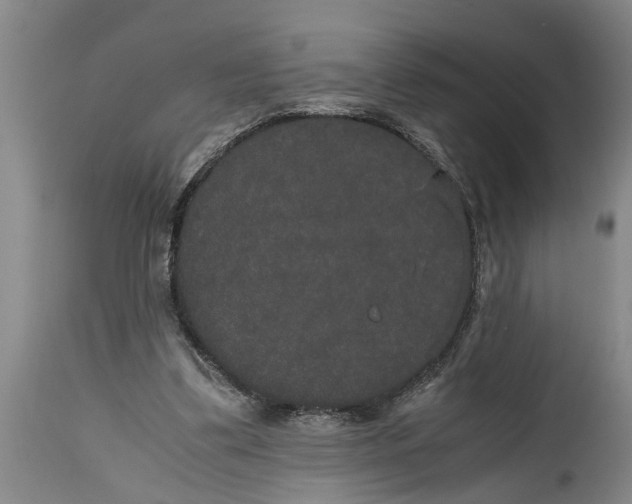 X0000115120299200911171334