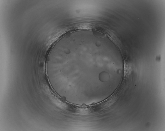 X0000115120301200911171334