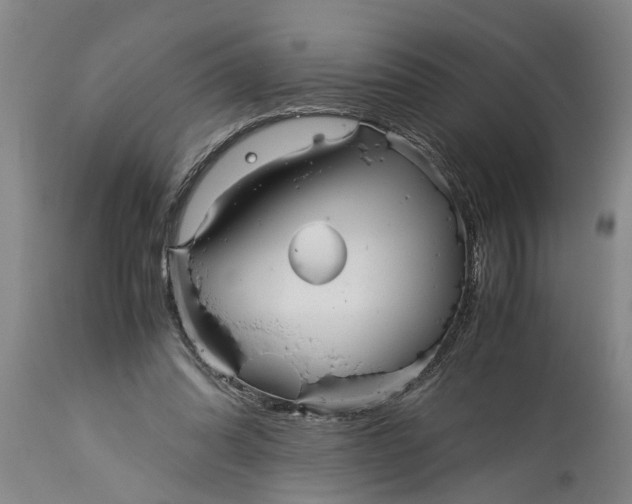X0000115120302200911171334