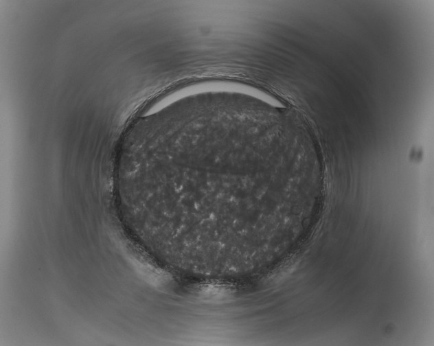 X0000115120303200911171334