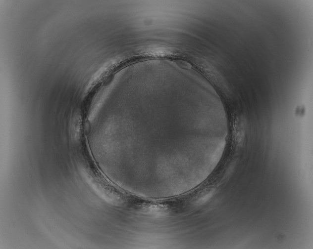 X0000115120304200911171334