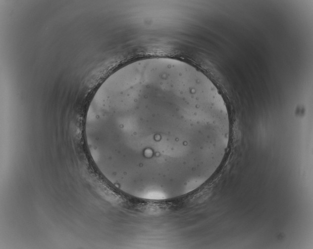 X0000115120305200911171334