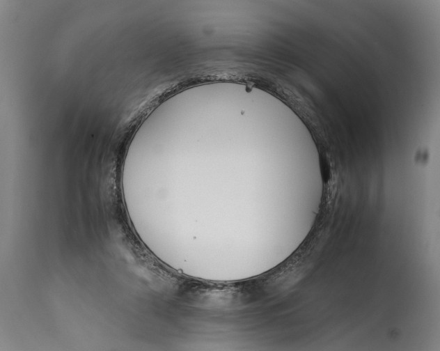 X0000115120306200911171334