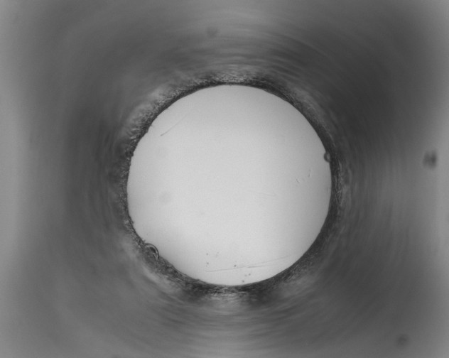 X0000115120307200911171334