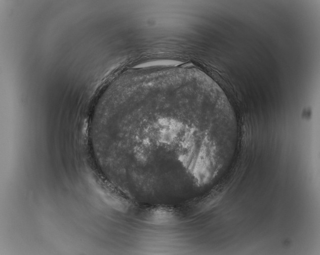 X0000115120308200911171334
