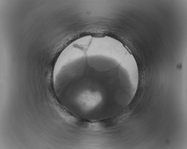 X0000115120309200911171334
