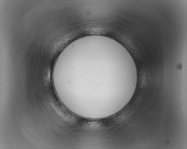 X0000115120310200911171334