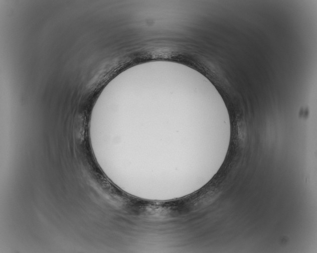 X0000115120311200911171334