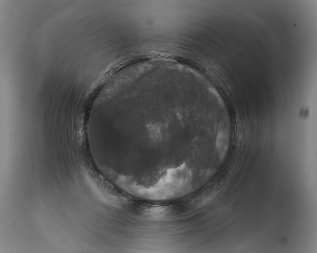 X0000115120312200911171334