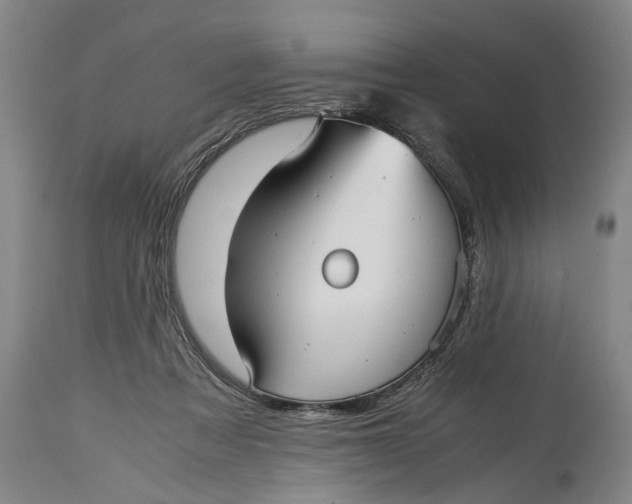 X0000115120313200911171334