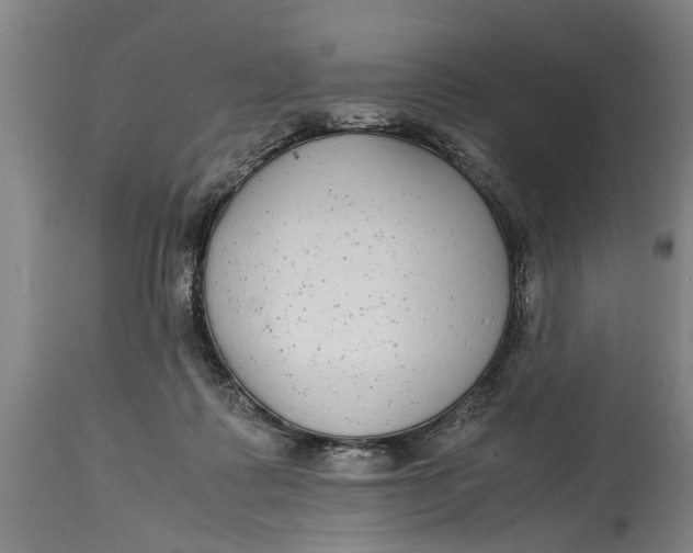 X0000115120315200911171334