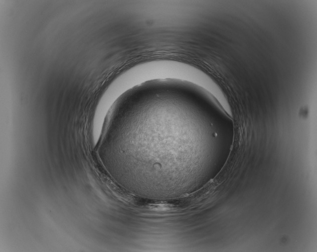 X0000115120316200911171334