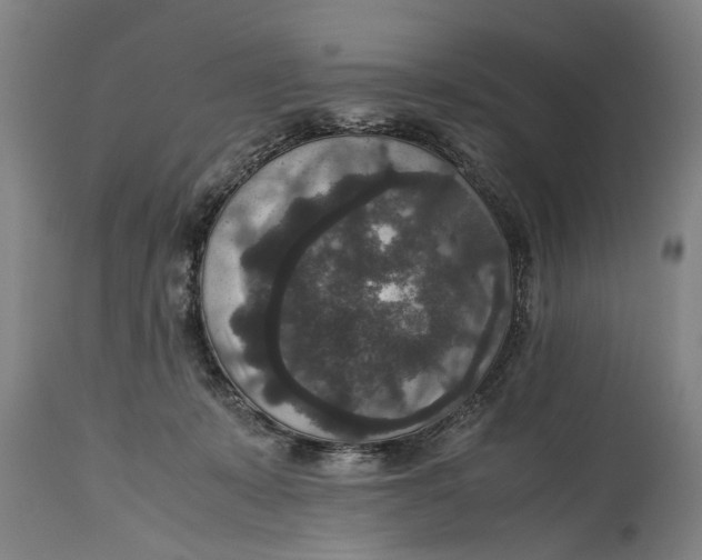 X0000115120319200911171334