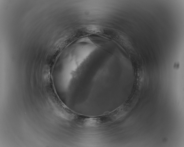 X0000115120320200911171334