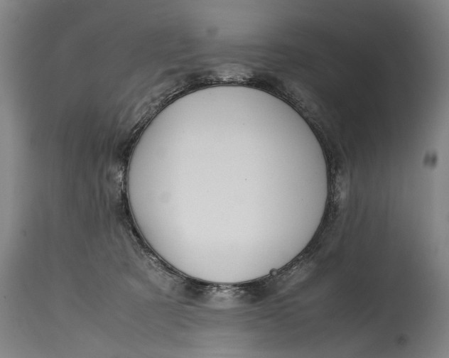 X0000115120321200911171334