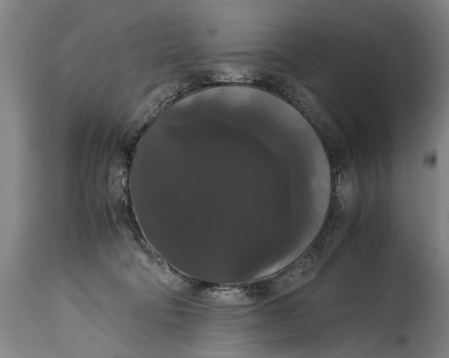 X0000115120322200911171334