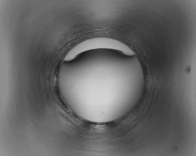 X0000115120324200911171334
