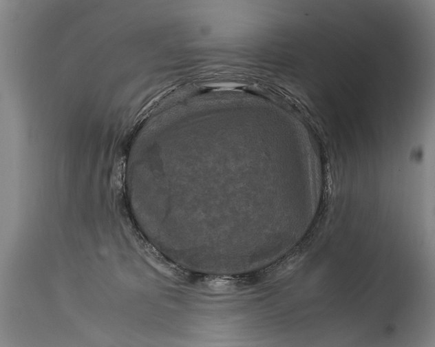 X0000115120325200911171334