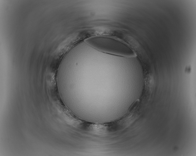 X0000115120327200911171334
