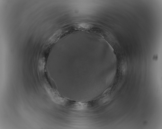 X0000115120328200911171334