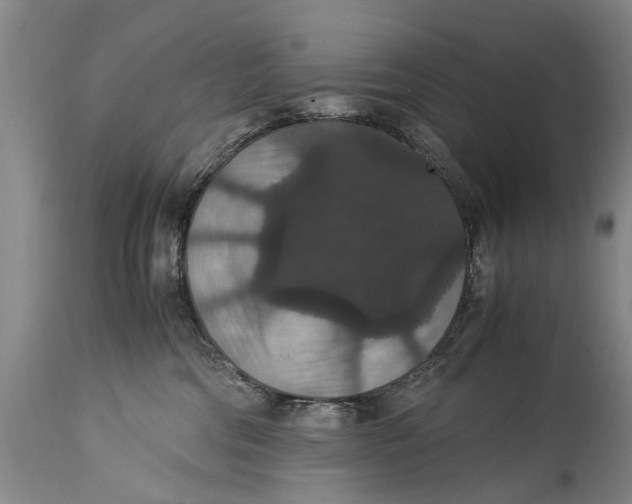 X0000115120330200911171334