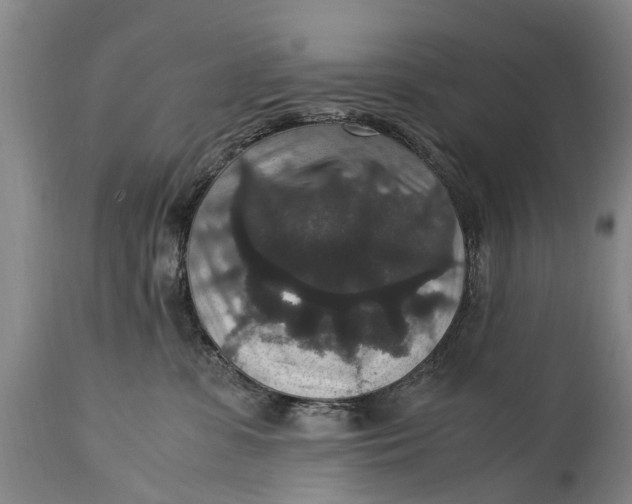 X0000115120331200911171334