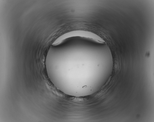 X0000115120332200911171334