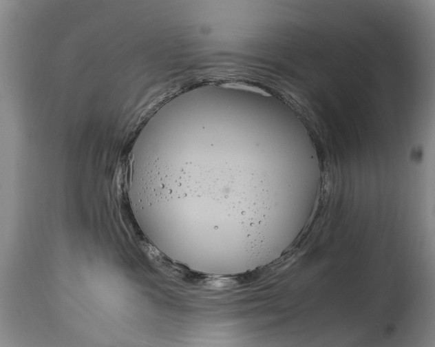 X0000115120333200911171334