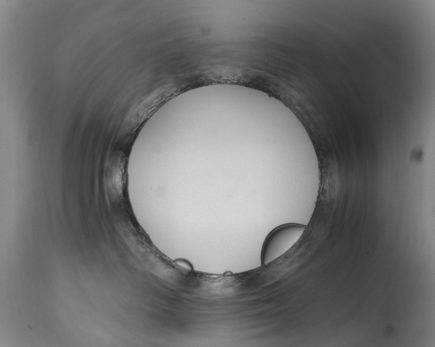 X0000115120334200911171334