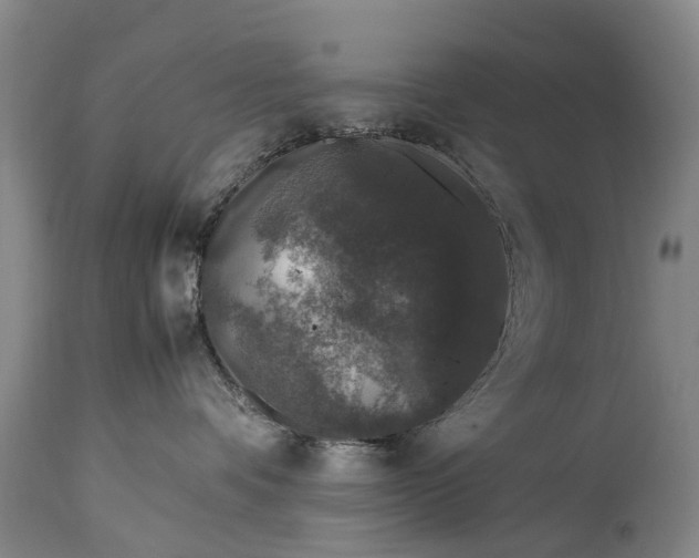 X0000115120336200911171334