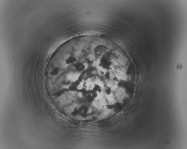 X0000115120337200911171333