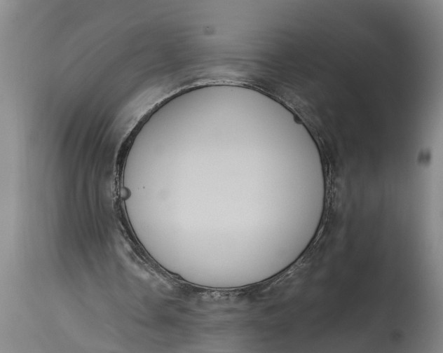X0000115120338200911171333