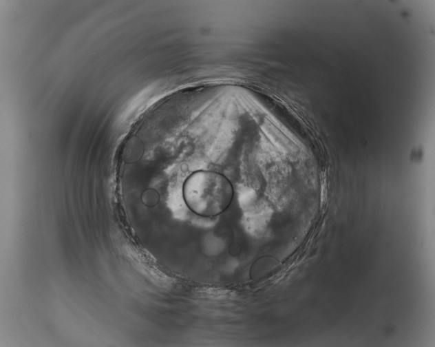 X0000115120339200911171333