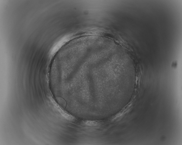 X0000115120341200911171333