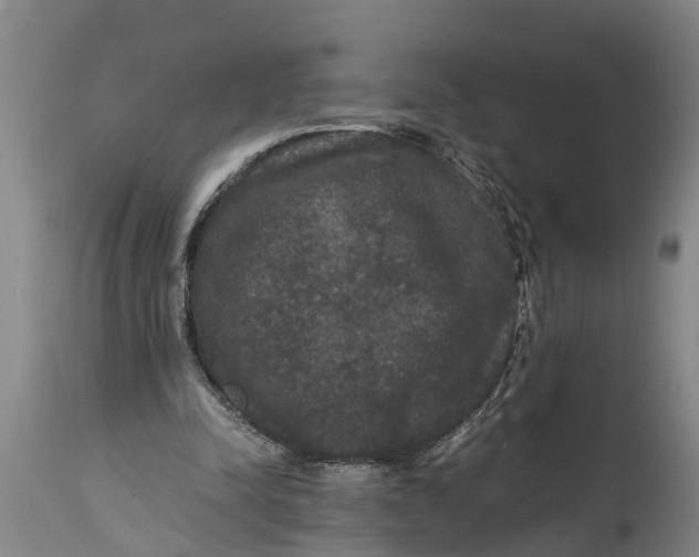 X0000115120342200911171333