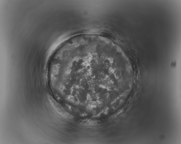X0000115120343200911171333