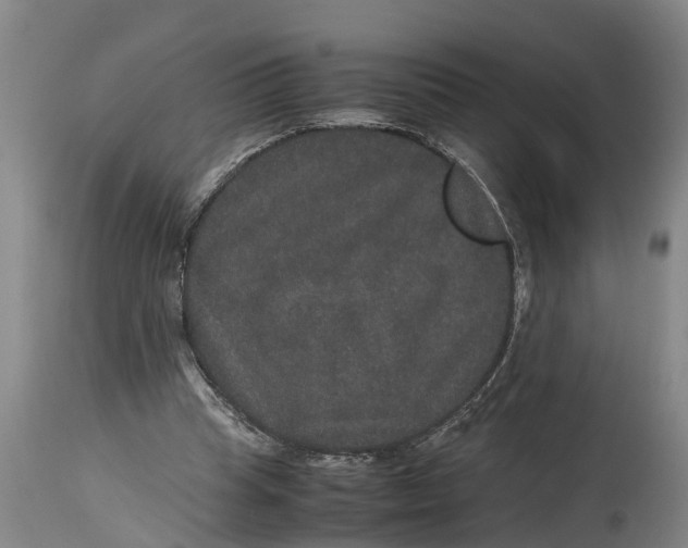 X0000115120345200911171333