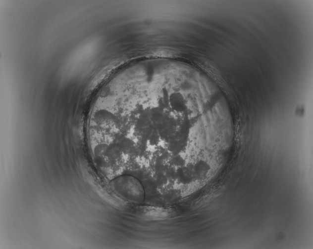 X0000115120347200911171333