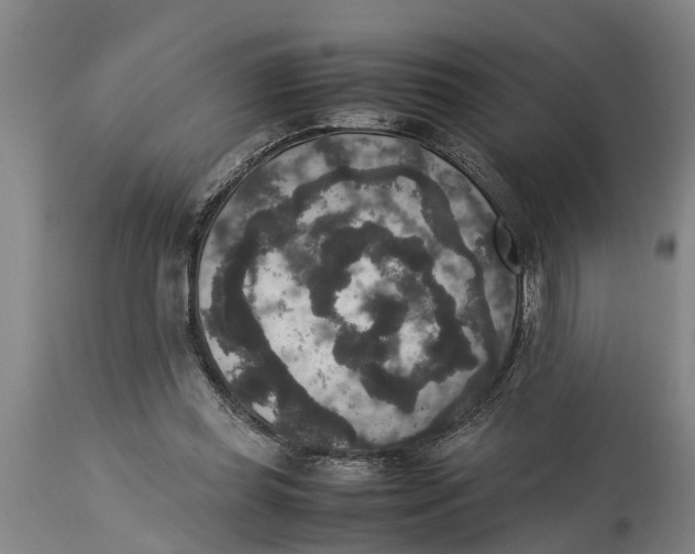 X0000115120349200911171333