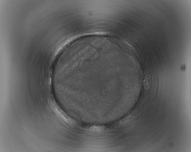 X0000115120350200911171333