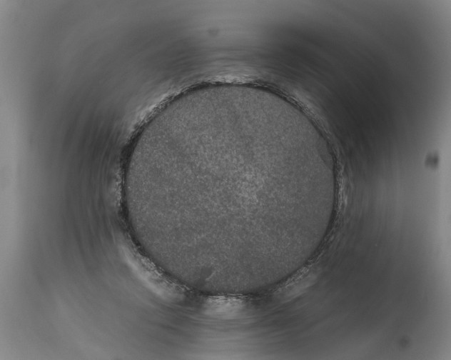 X0000115120354200911171333