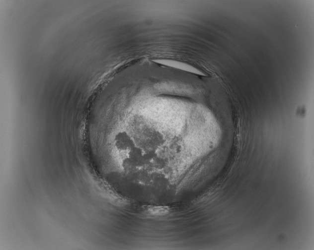 X0000115120355200911171333