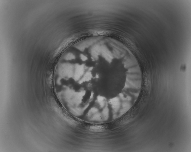 X0000115120357200911171333