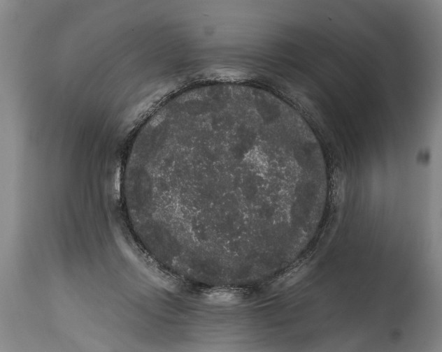 X0000115120358200911171333