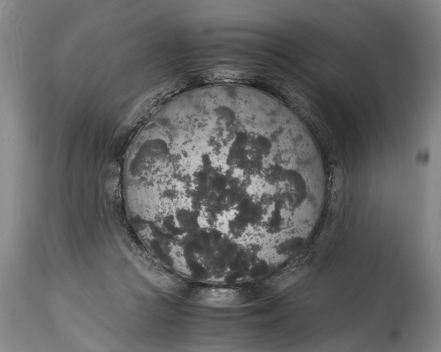 X0000115120361200911171333