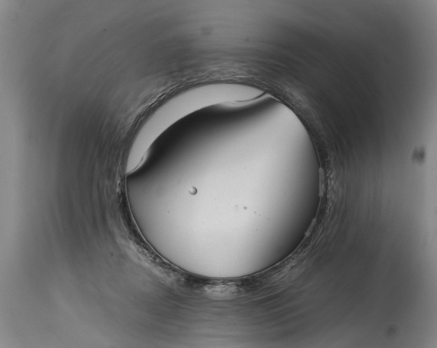 X0000115120362200911171333