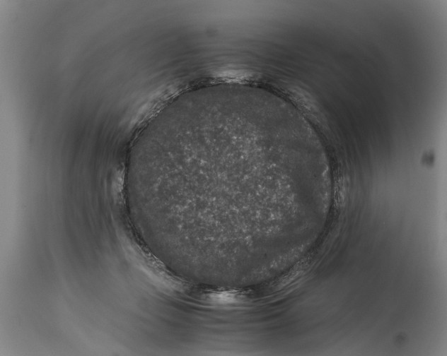 X0000115120365200911171333