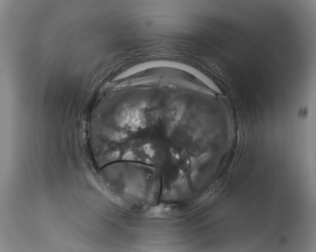 X0000115120366200911171333